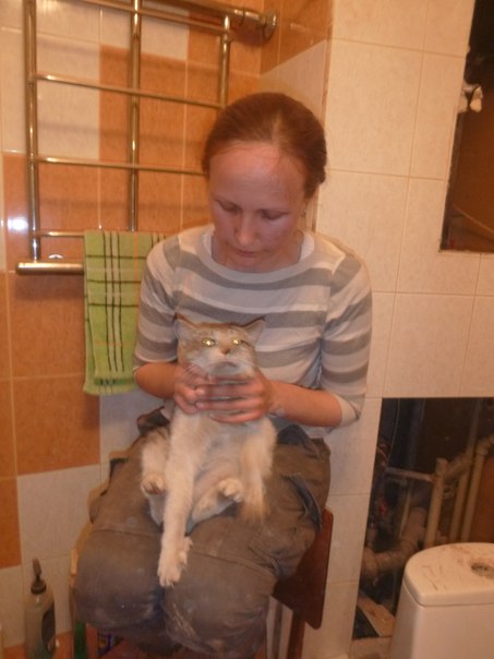 Спасение кота из вентиляционной трубы