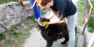 Спасение пса из пересыхающего водоема